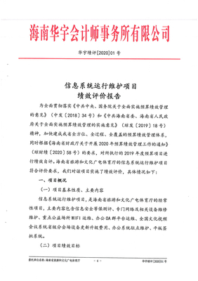 2019年信息系统运行维护财政支出项目绩效评价报告
